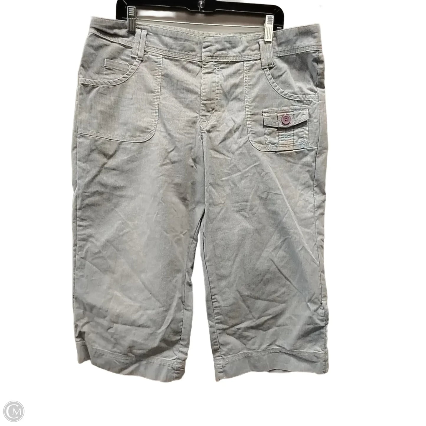 Pants Cropped By Lee In Striped Pattern, Size: 16