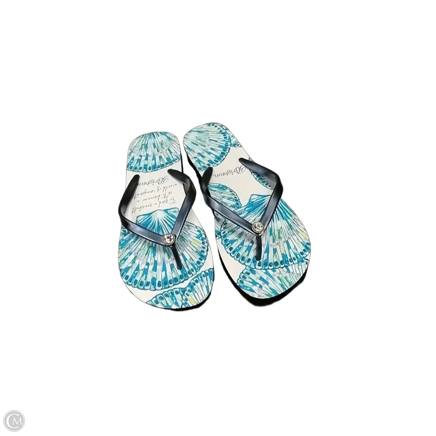 Sandals Flip Flops By Brighton In Blue, Size: 9