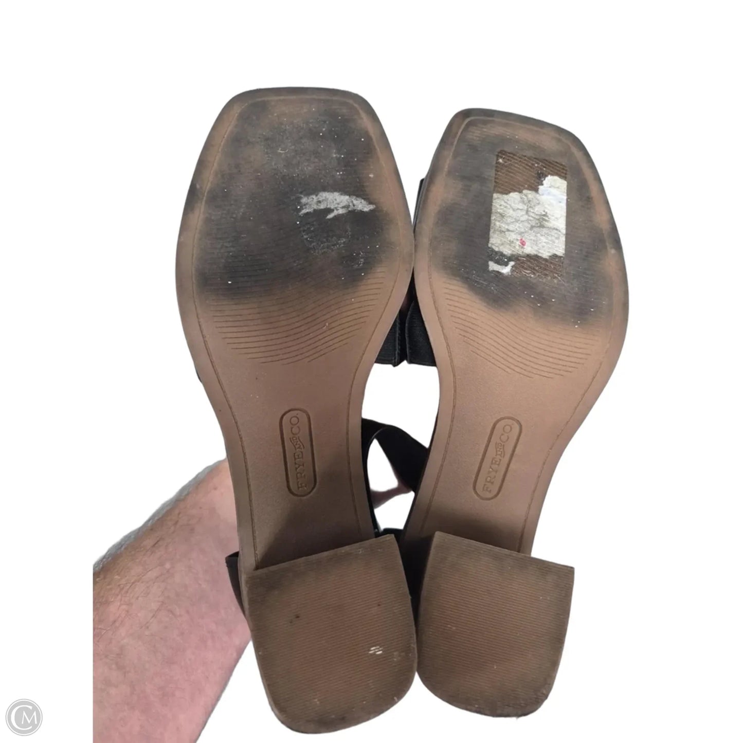 Sandals Heels Block By Frye And Co In Black, Size: 7.5