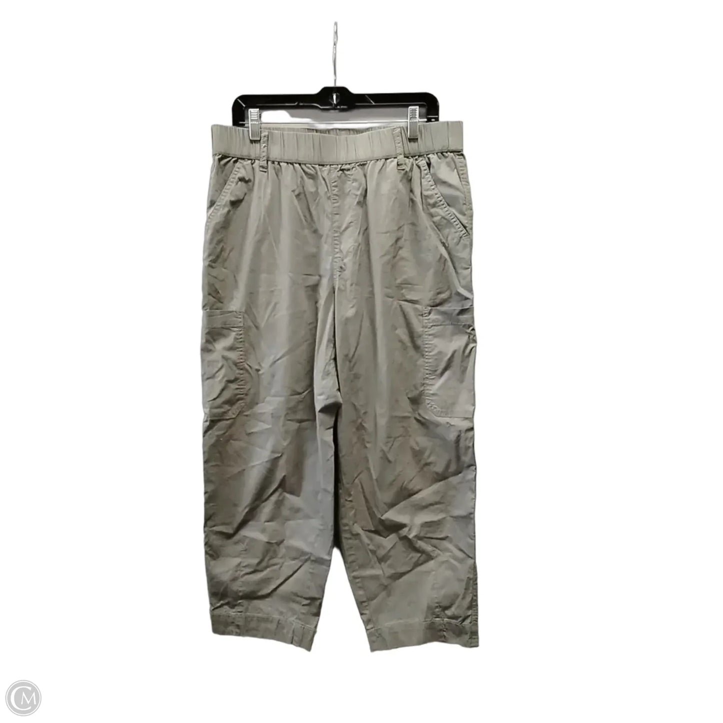 Pants Wide Leg By Chicos In Green, Size: 10