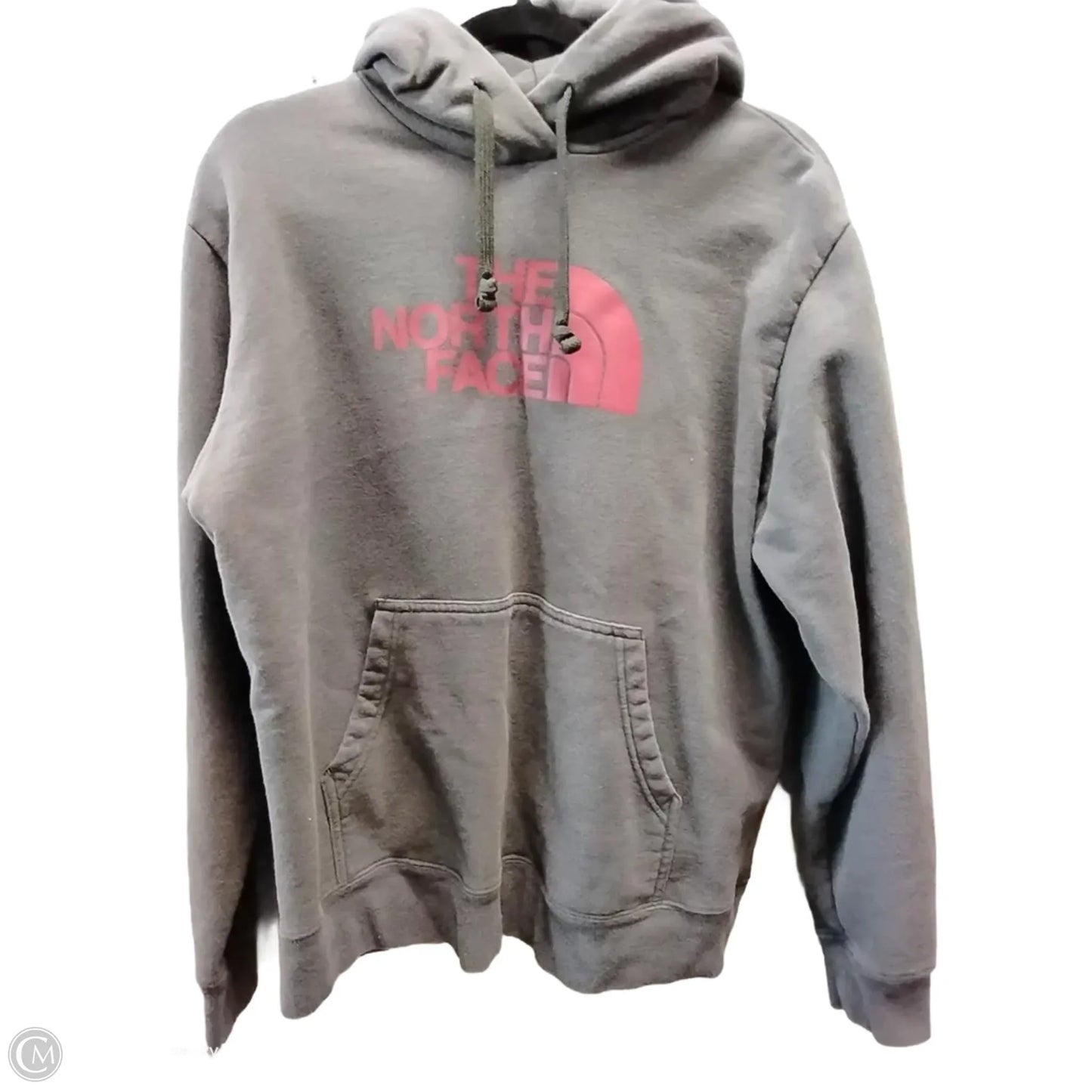 Sweatshirt Hoodie By The North Face In Grey, Size: L