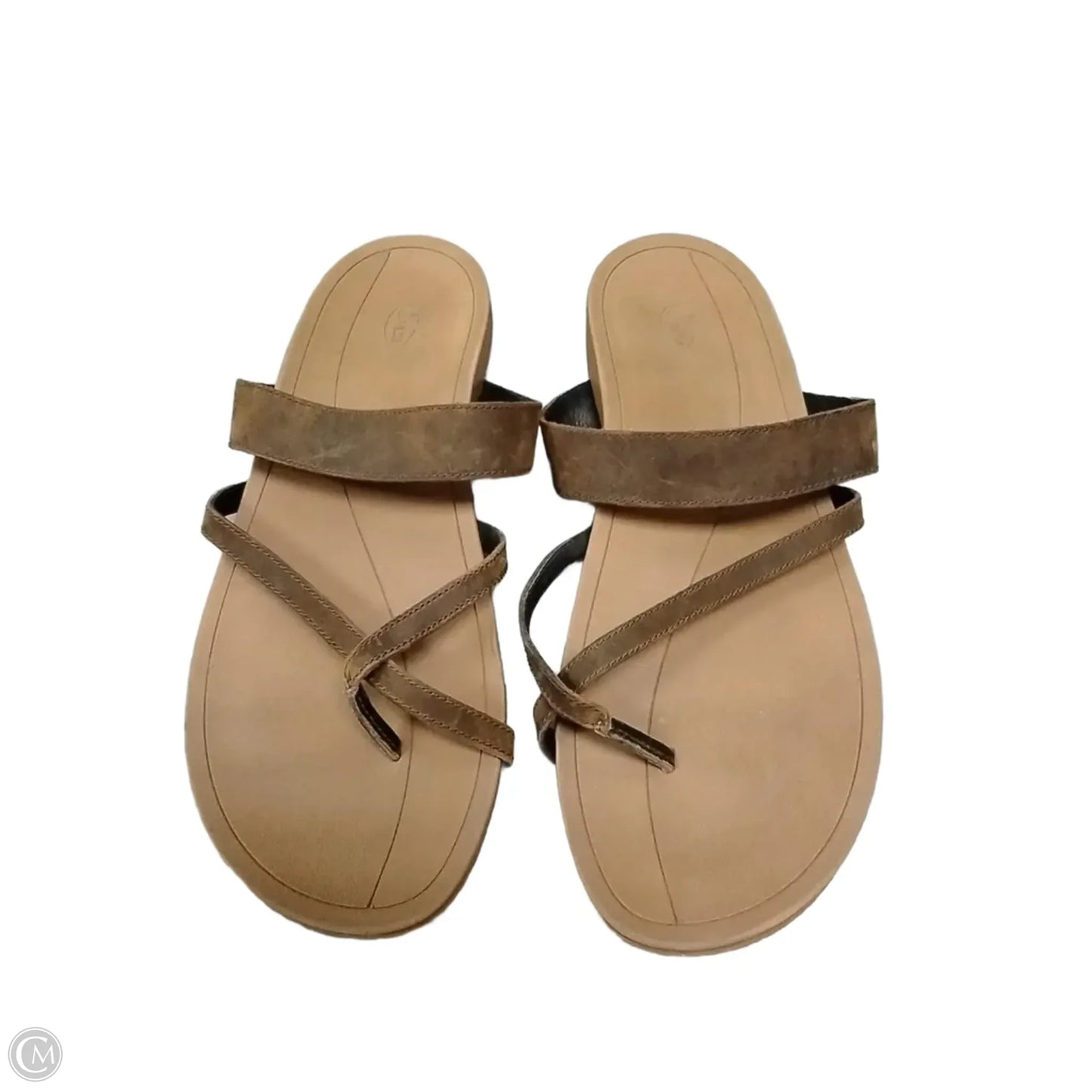 Sandals Flip Flops By Chacos In Brown, Size: 12