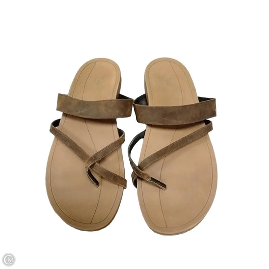 Sandals Flip Flops By Chacos In Brown, Size: 12