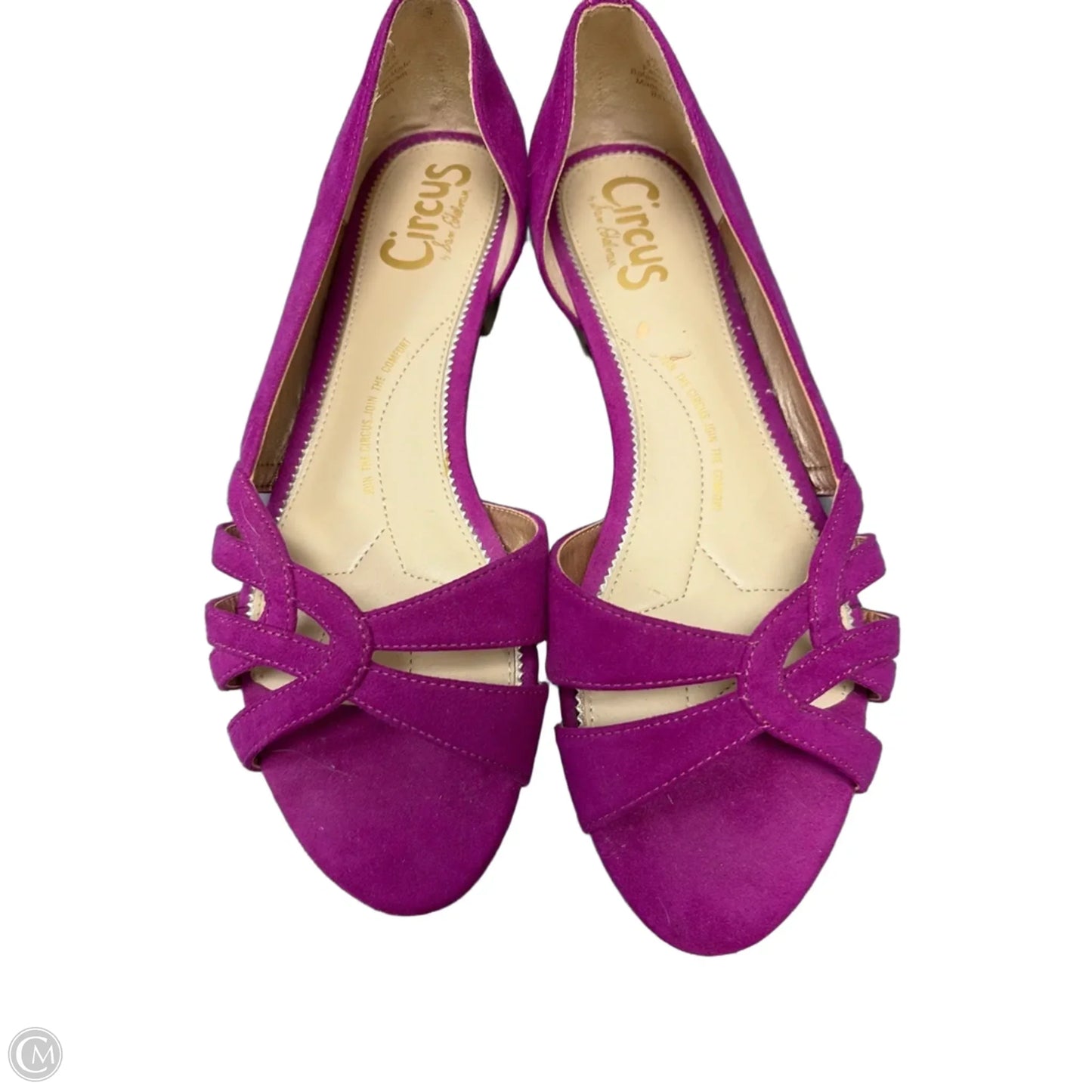Shoes Flats By Circus By Sam Edelman In Purple, Size: 8.5