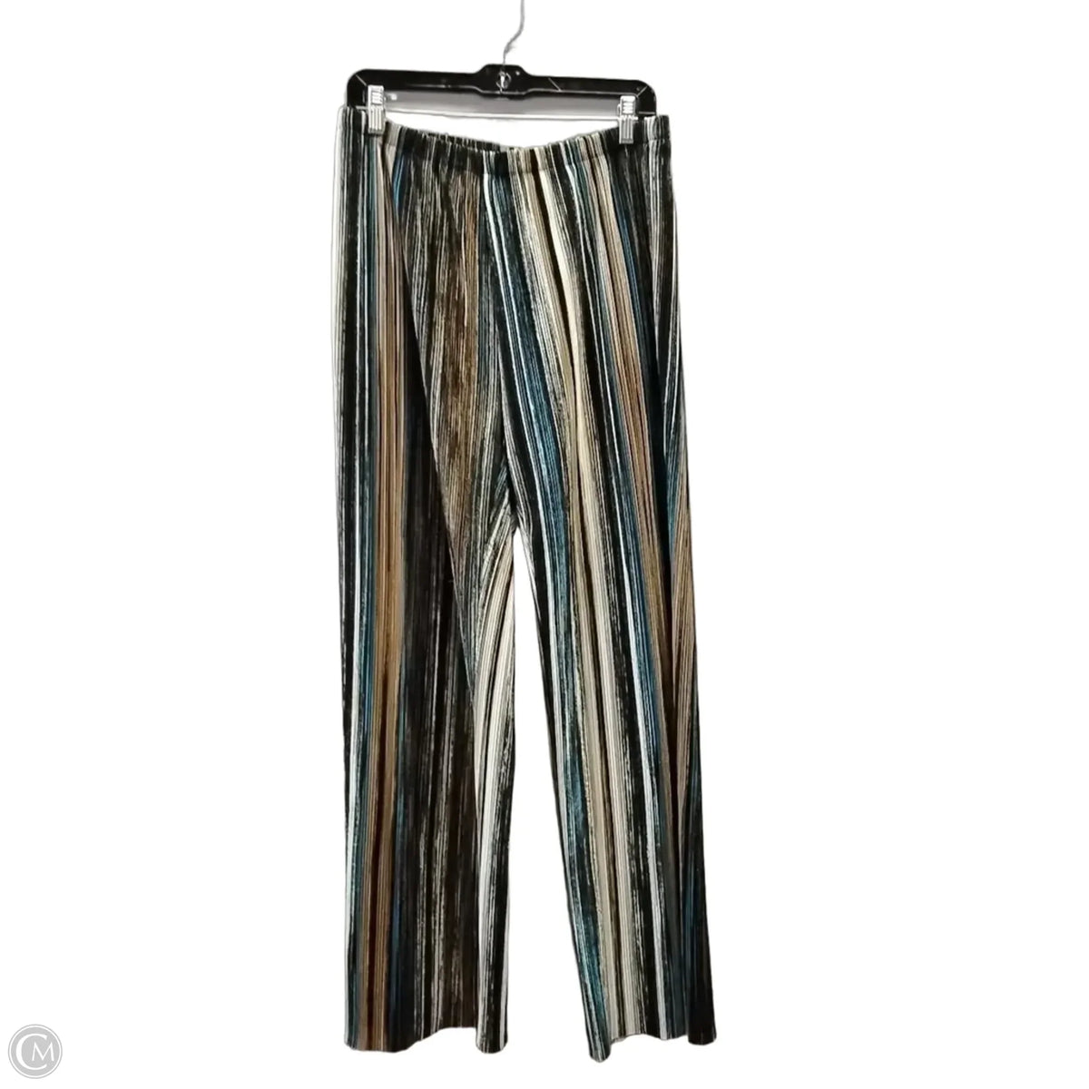 Pants Other By Chicos In Striped Pattern, Size: 8