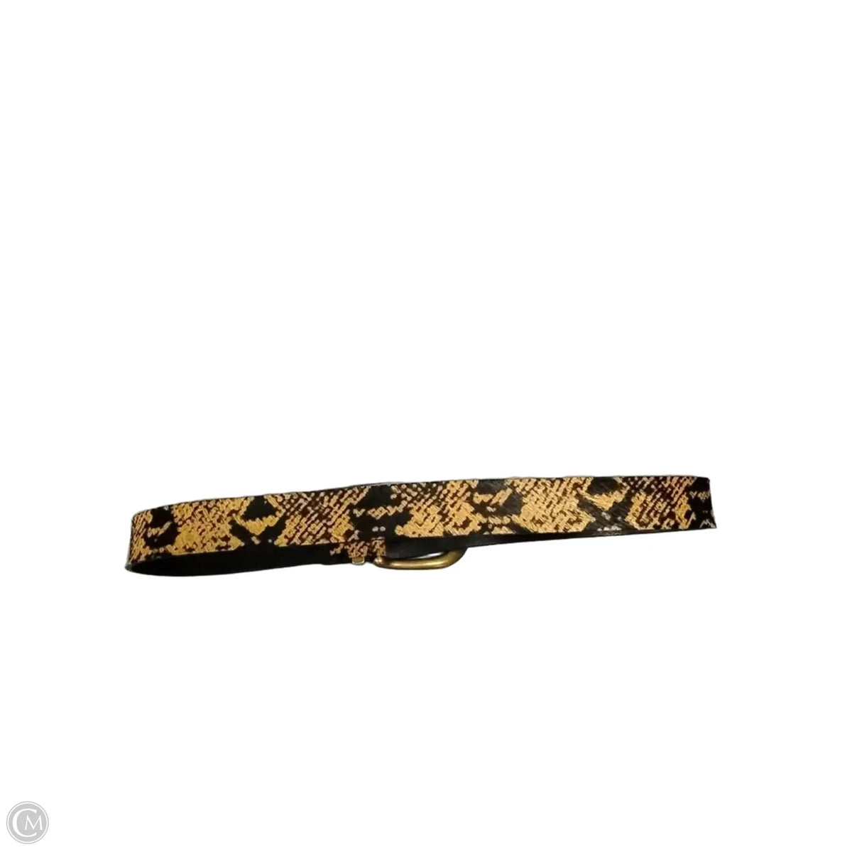 Belt Designer By Frye, Size:
