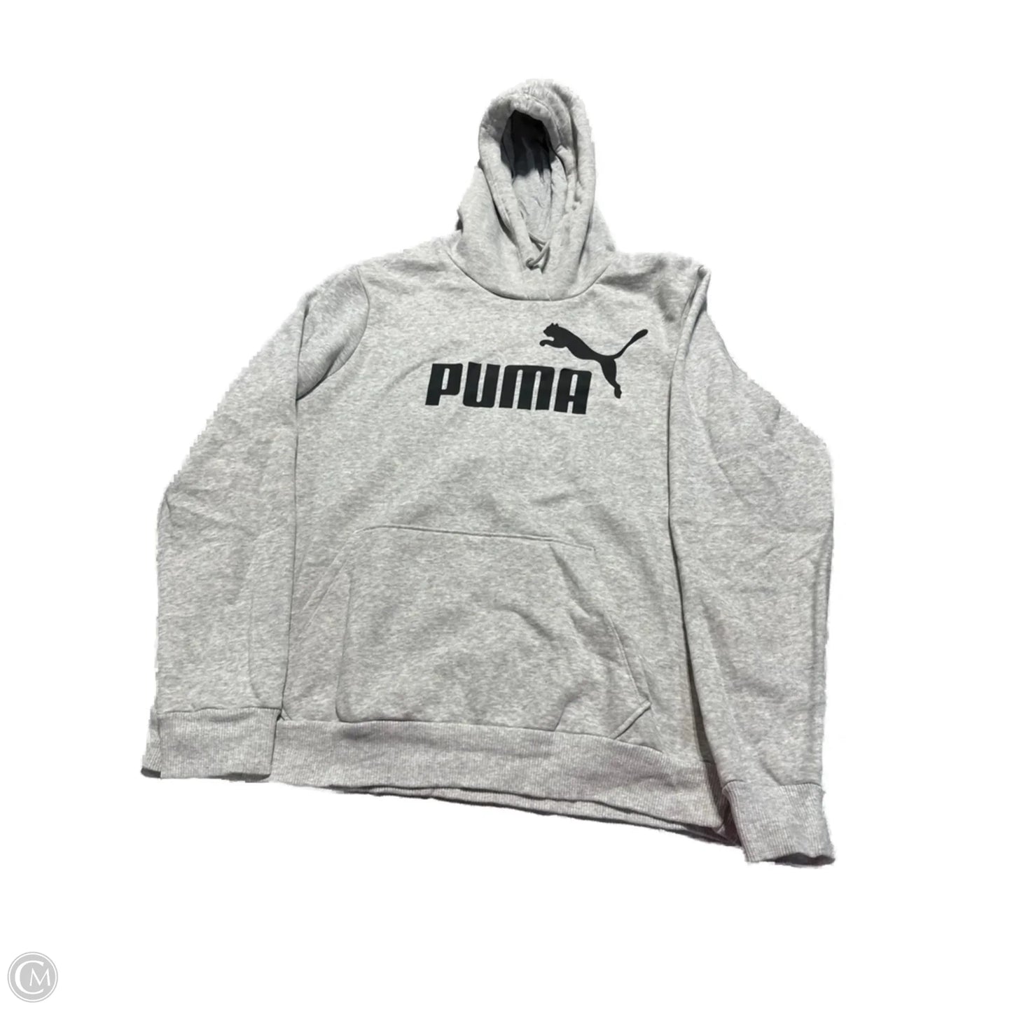 Sweatshirt Hoodie By Puma In Grey, Size: Xs