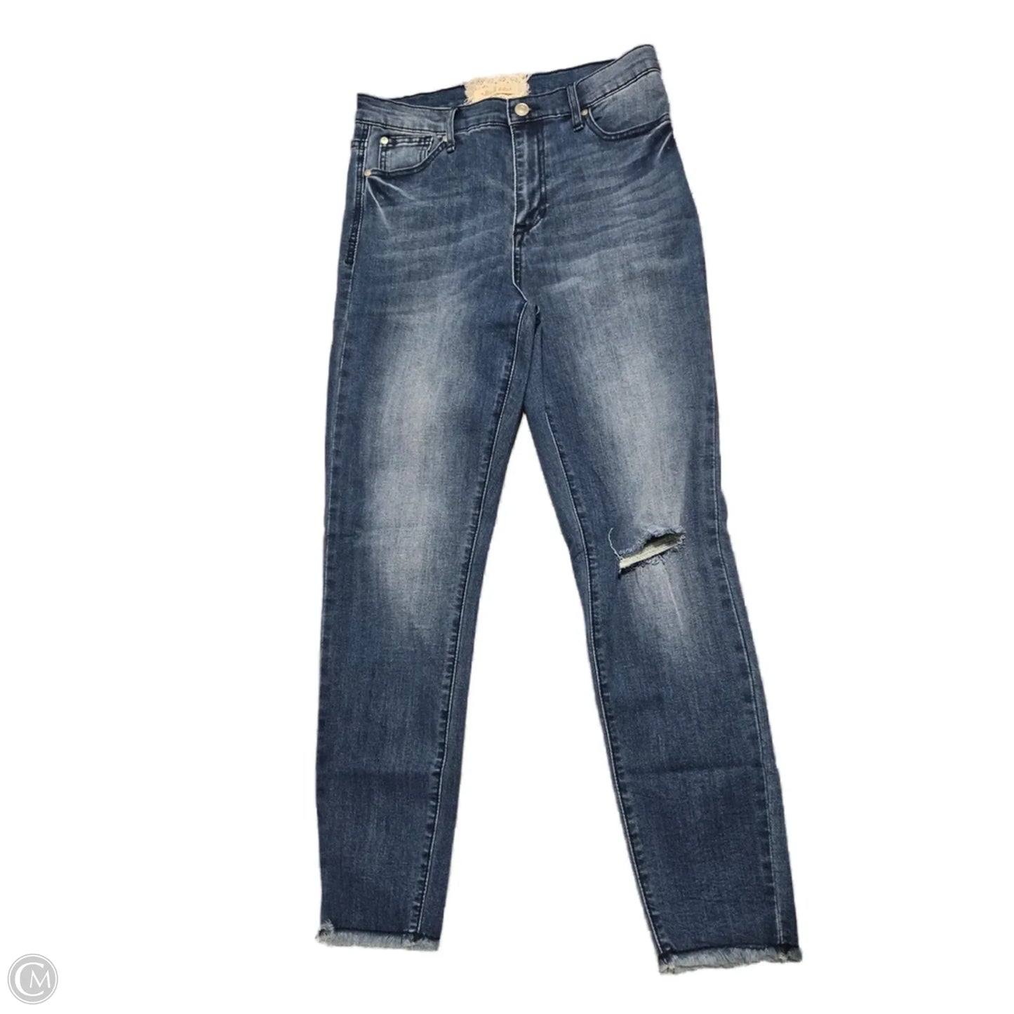 Jeans Skinny By Altard State In Blue Denim, Size: 8