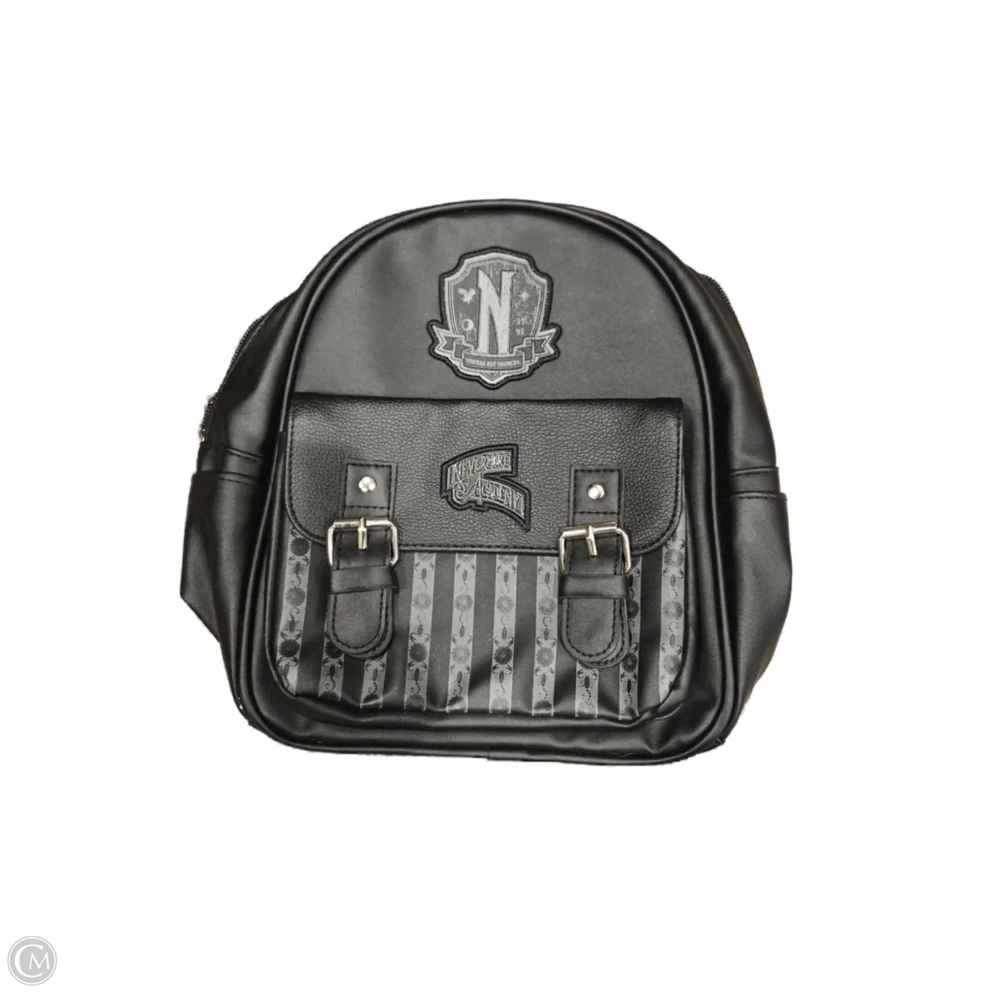 Backpack By Cmc, Size: Small