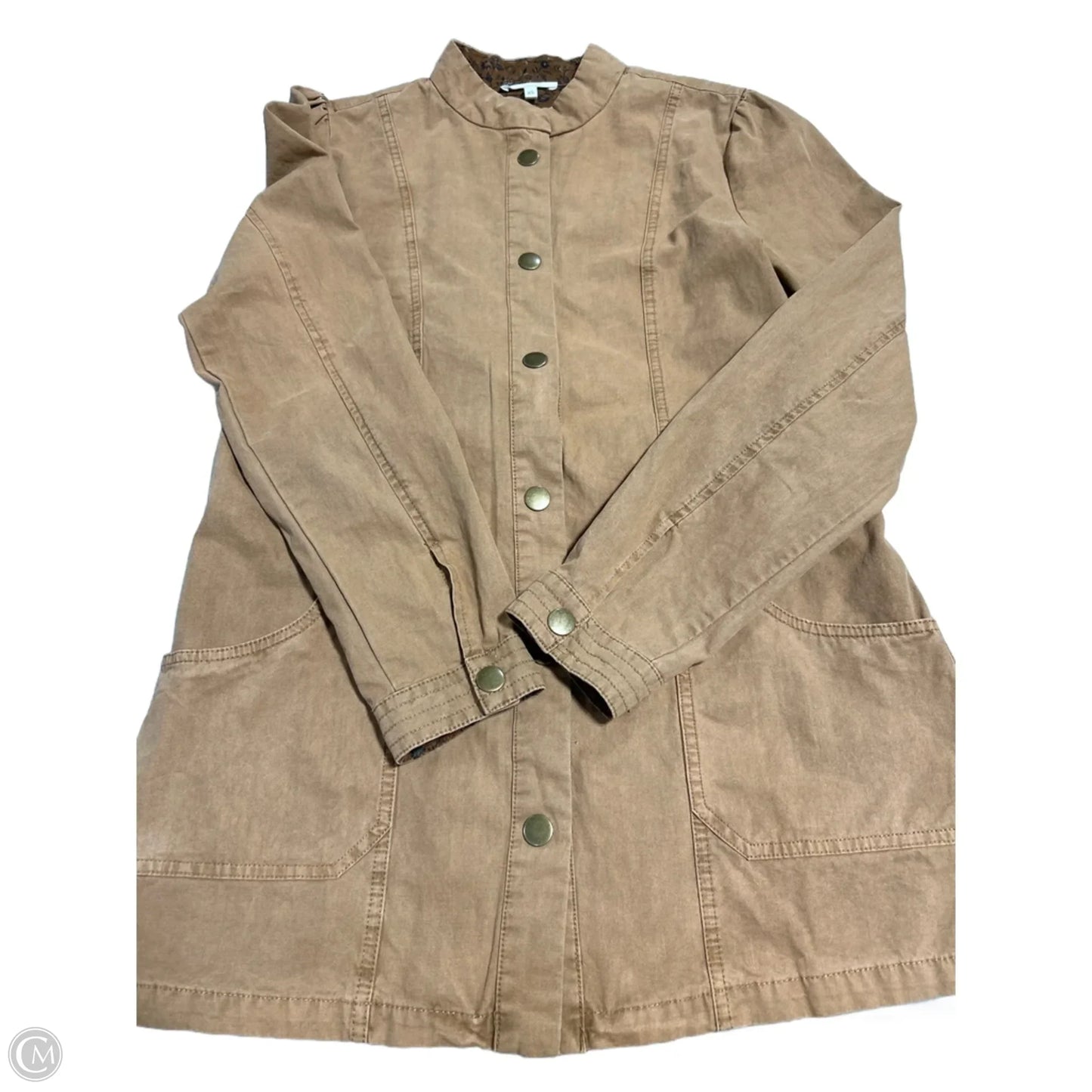 Dress Casual Short By Maurices In Brown, Size: Xs