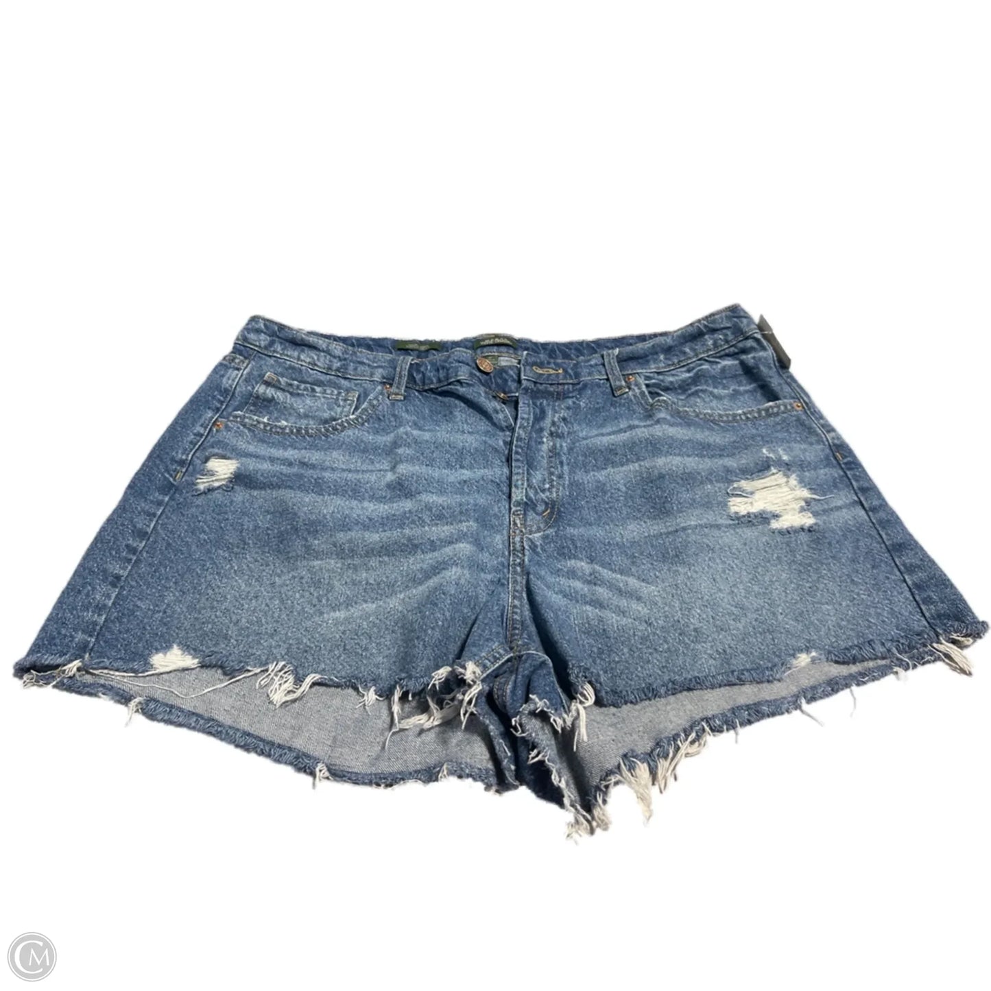 Shorts By Wild Fable In Blue Denim, Size: 18