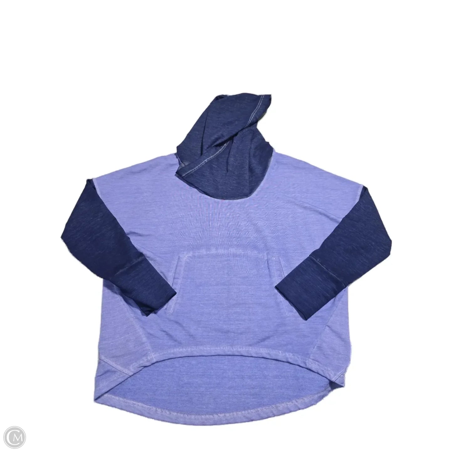 Athletic Sweatshirt Hoodie By Te Verde In Blue, Size: M