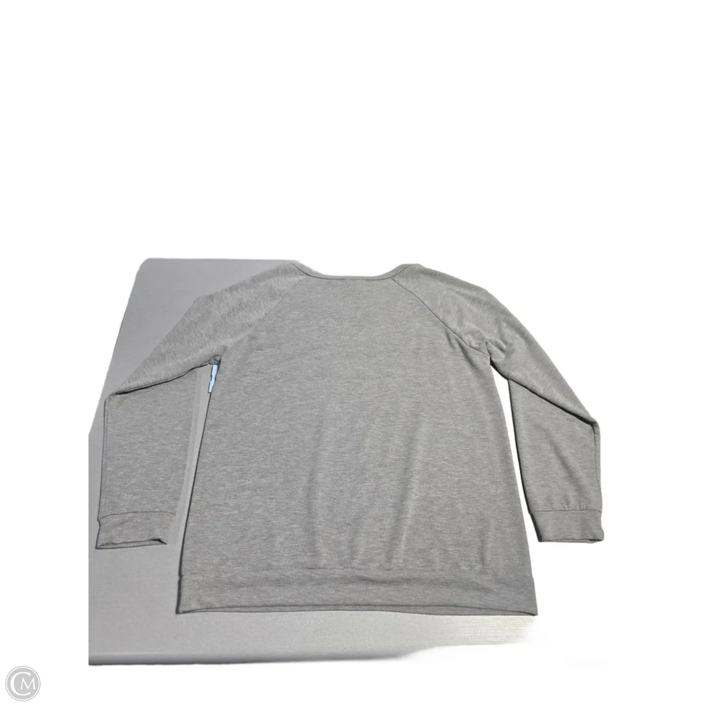 Top Long Sleeve By Fantastic Fawn In Grey, Size: L