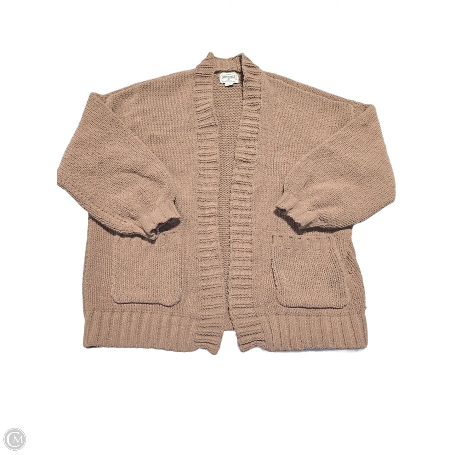 Cardigan By American Eagle In Tan, Size: L