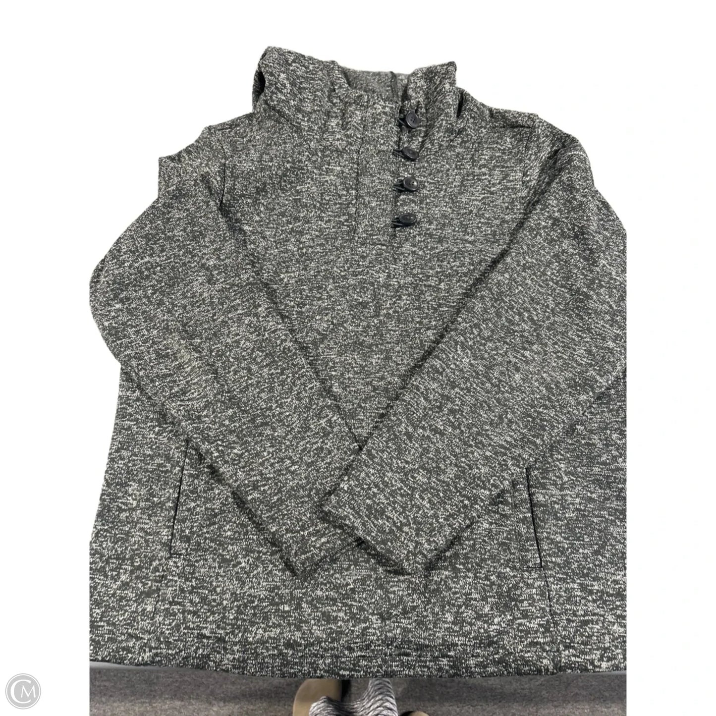 Athletic Sweatshirt Hoodie By The North Face In Grey, Size: 1x