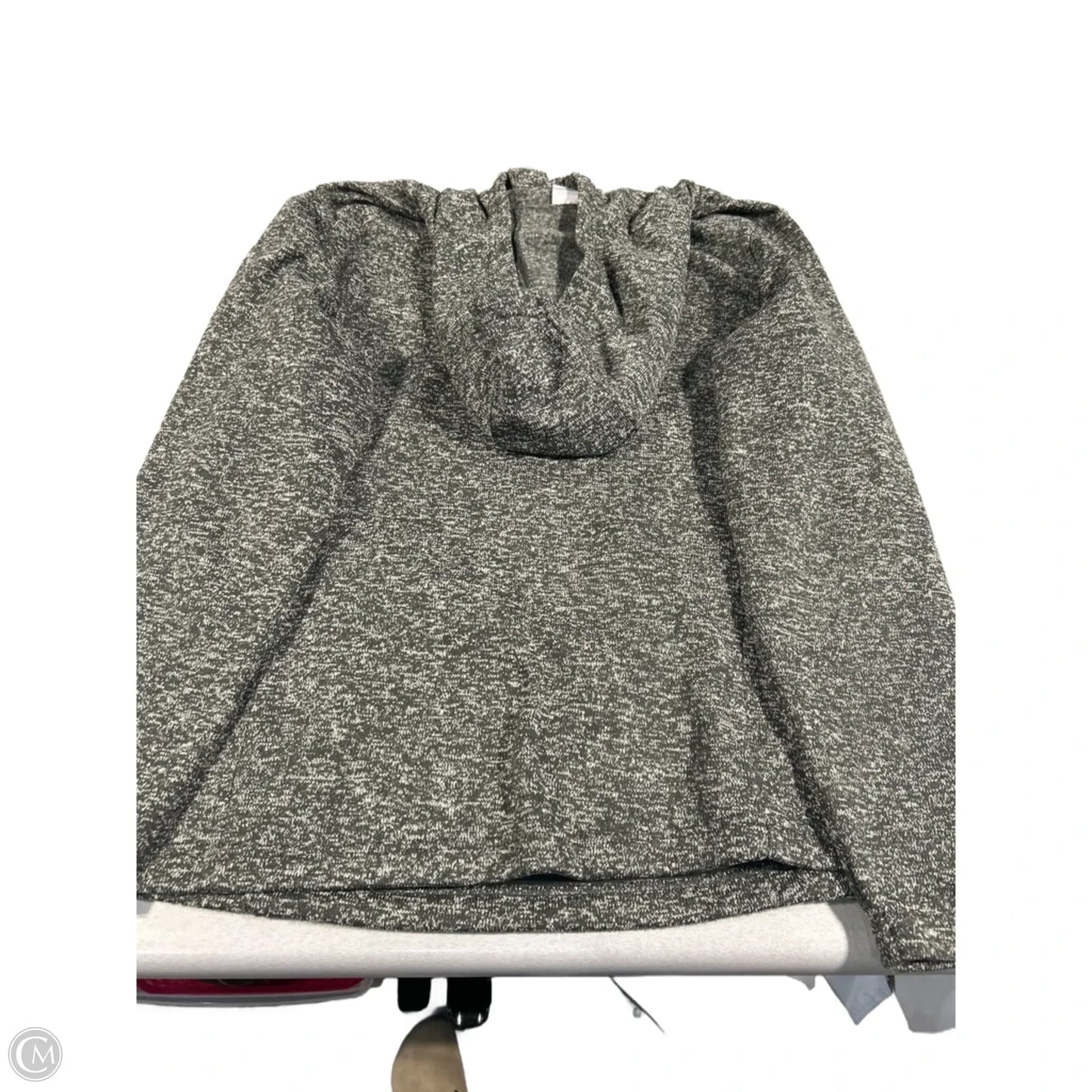 Athletic Sweatshirt Hoodie By The North Face In Grey, Size: 1x