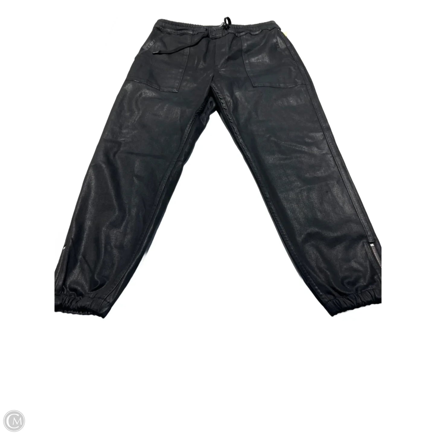 Pants Other By Hudson In Black, Size: M
