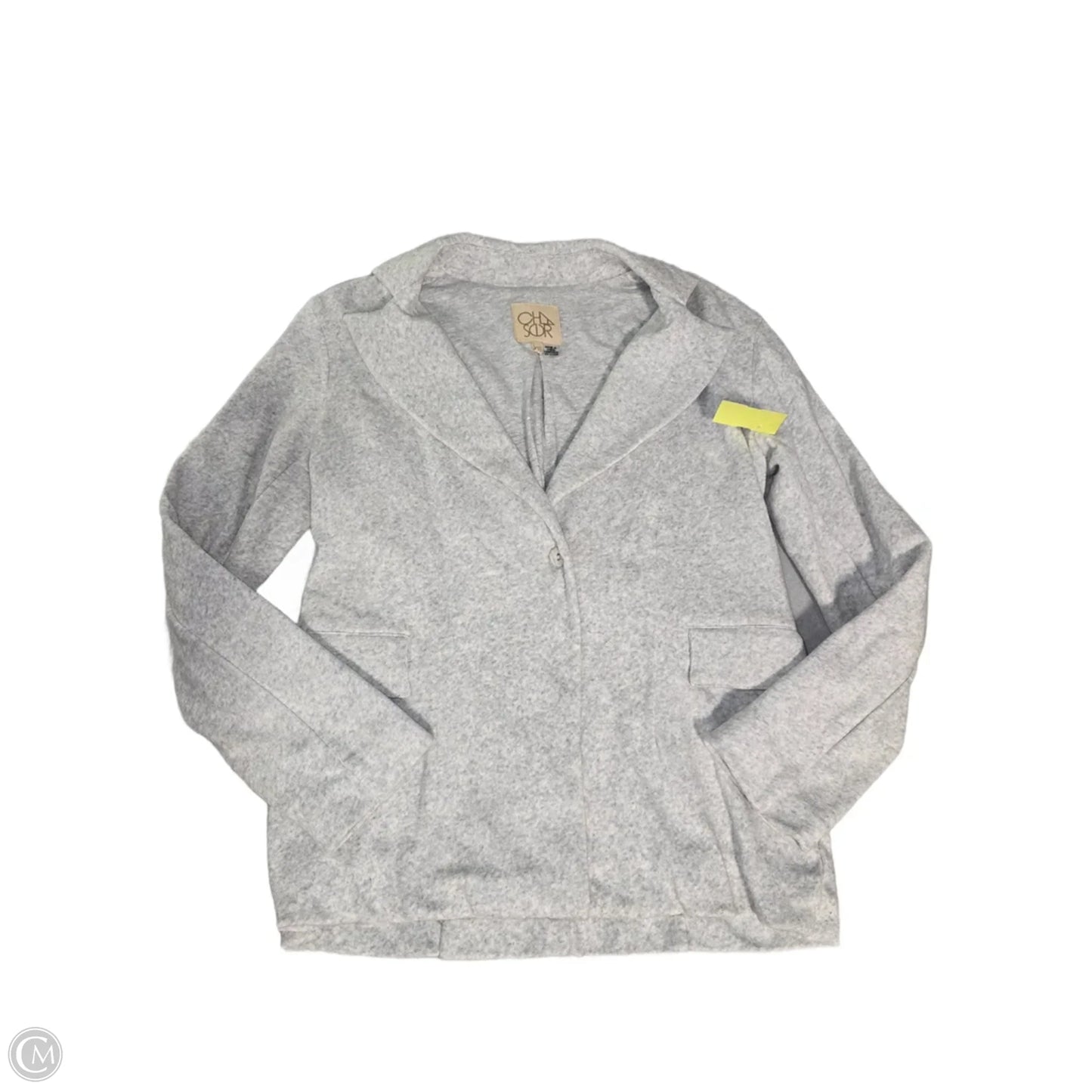 Blazer By Chaser In Grey, Size: Xs