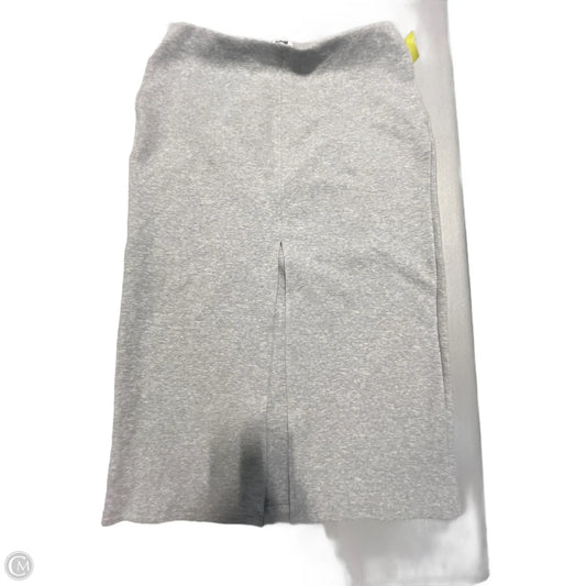 Skirt Maxi By Future Collective In Grey, Size: Xxl