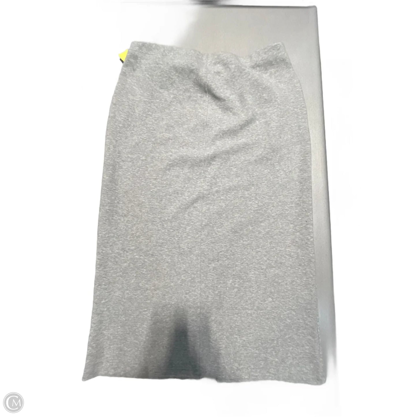 Skirt Maxi By Future Collective In Grey, Size: Xxl