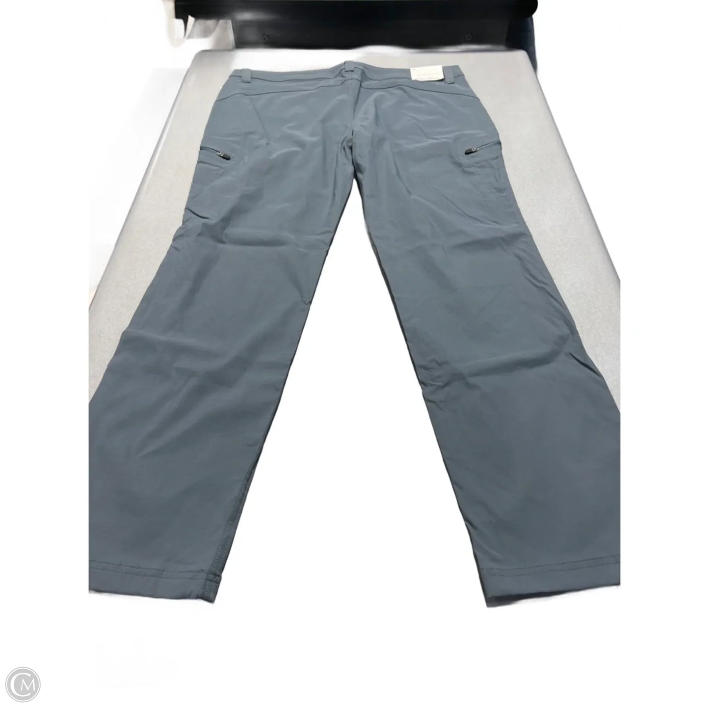 Pants Cargo & Utility By Eddie Bauer In Blue, Size: 16