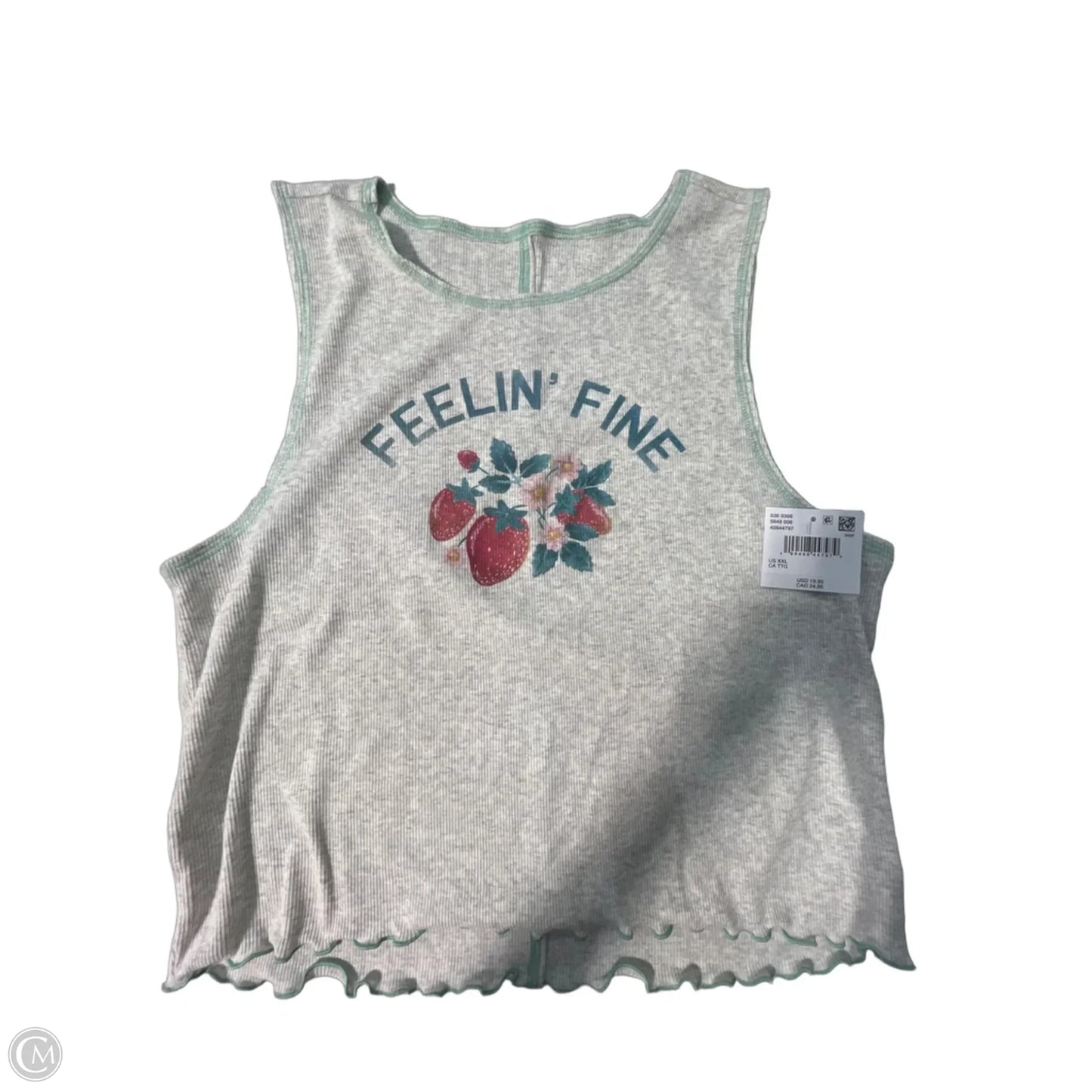 Tank Top By American Eagle In Grey, Size: Xxl