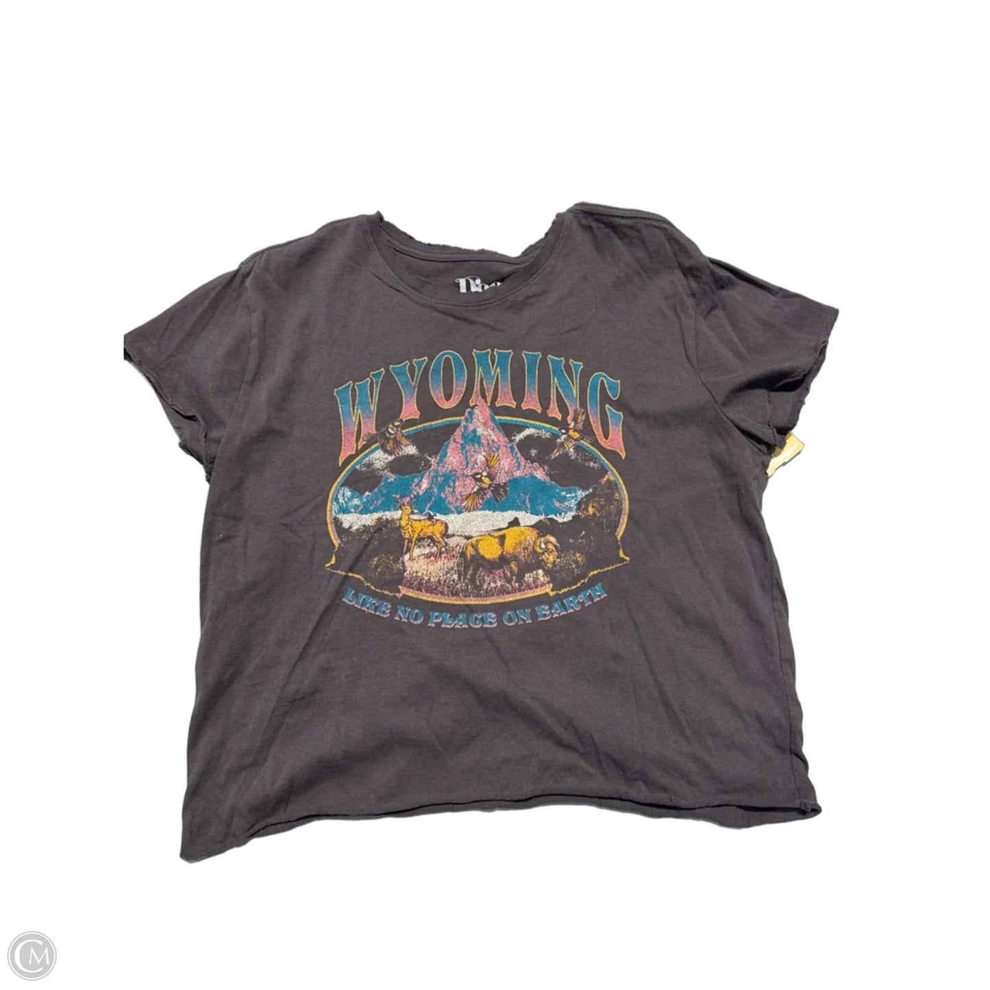 Top Short Sleeve By Cmf In Grey, Size: L