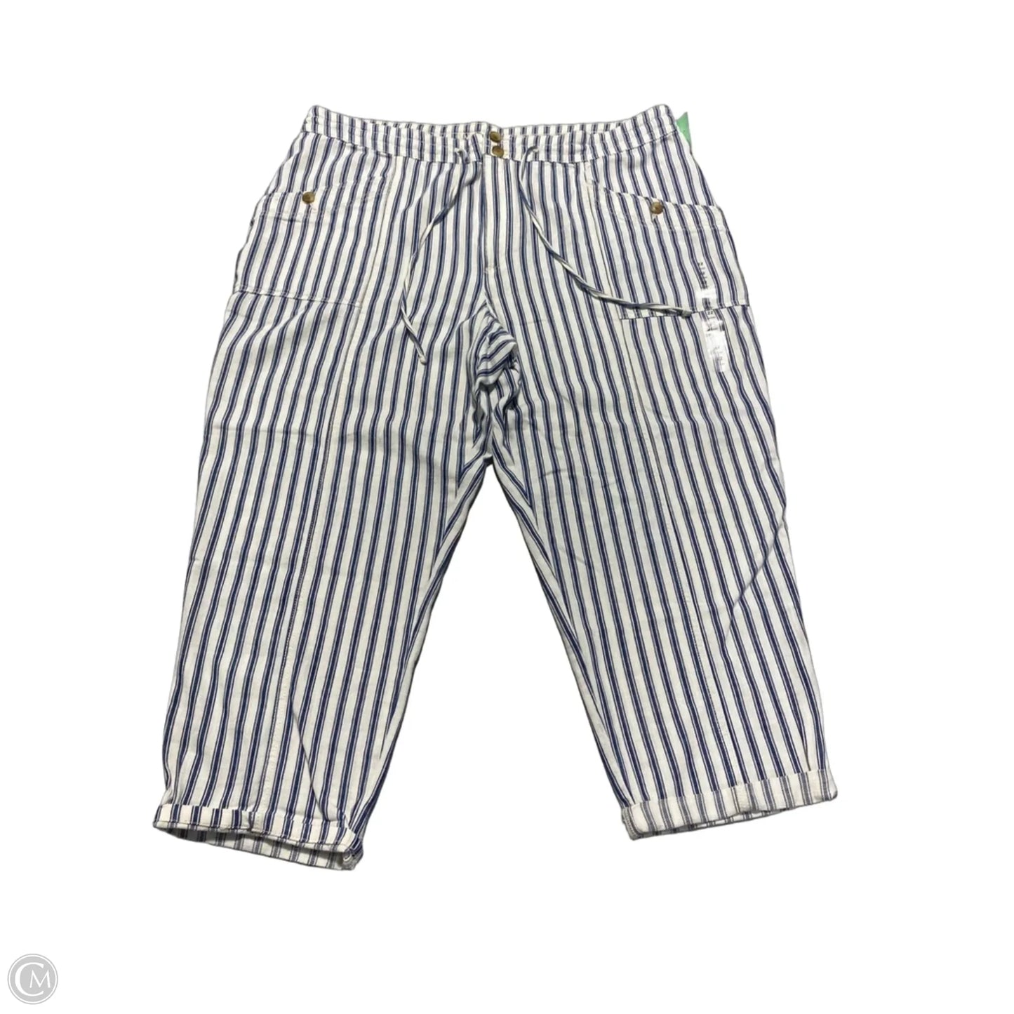 Pants Other By American Eagle In Striped Pattern, Size: 22