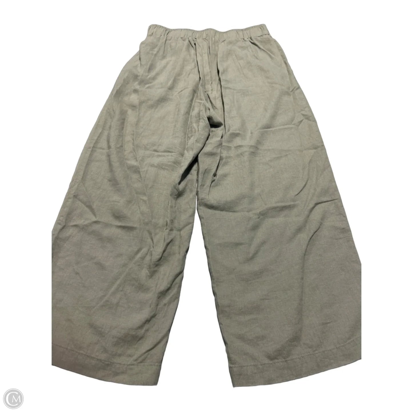 Pants Other By Sincerely Jules In Green, Size: M