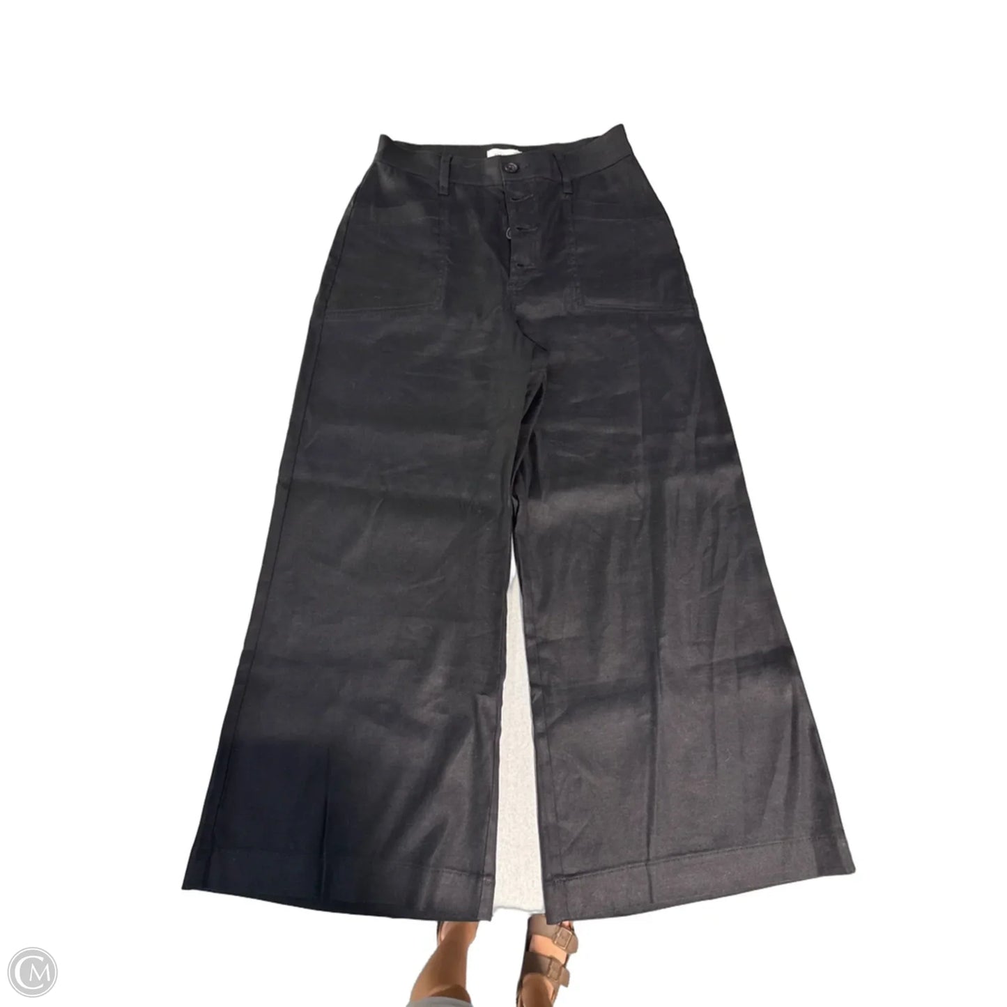 Pants Other By Evereve In Black, Size: 4