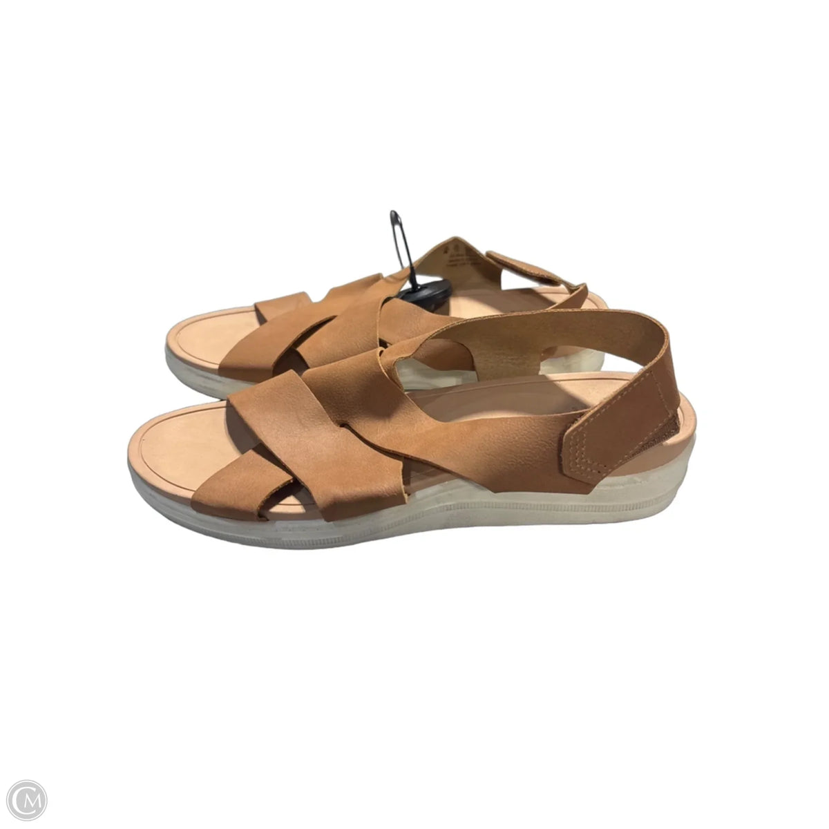 Sandals Flats By Dr Scholls In Brown, Size: 8
