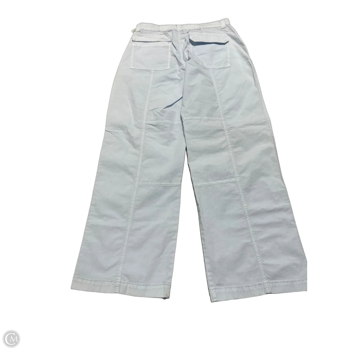Pants Cargo & Utility By Wild Fable In Blue, Size: 4