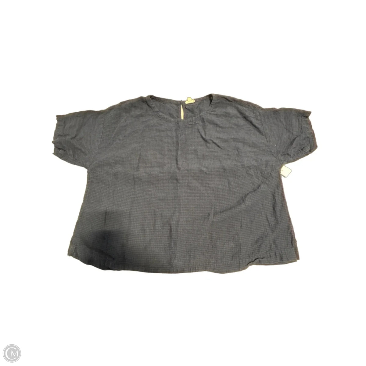 Top Short Sleeve By Eileen Fisher In Blue, Size: 2x