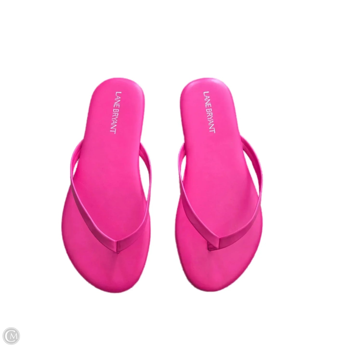 Sandals Flip Flops By Lane Bryant In Pink, Size: 7