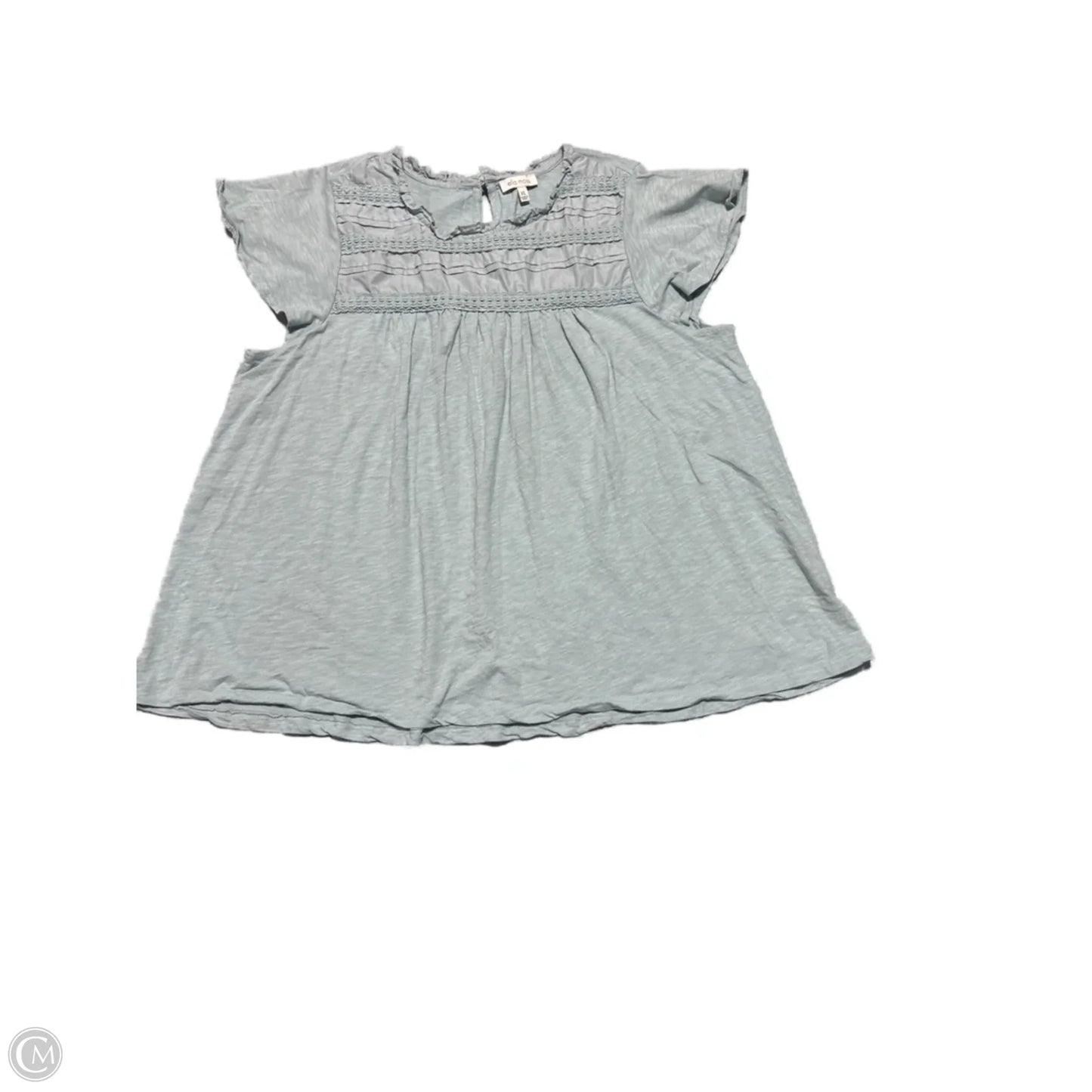 Top Short Sleeve By Ella Moss In Aqua, Size: Xl