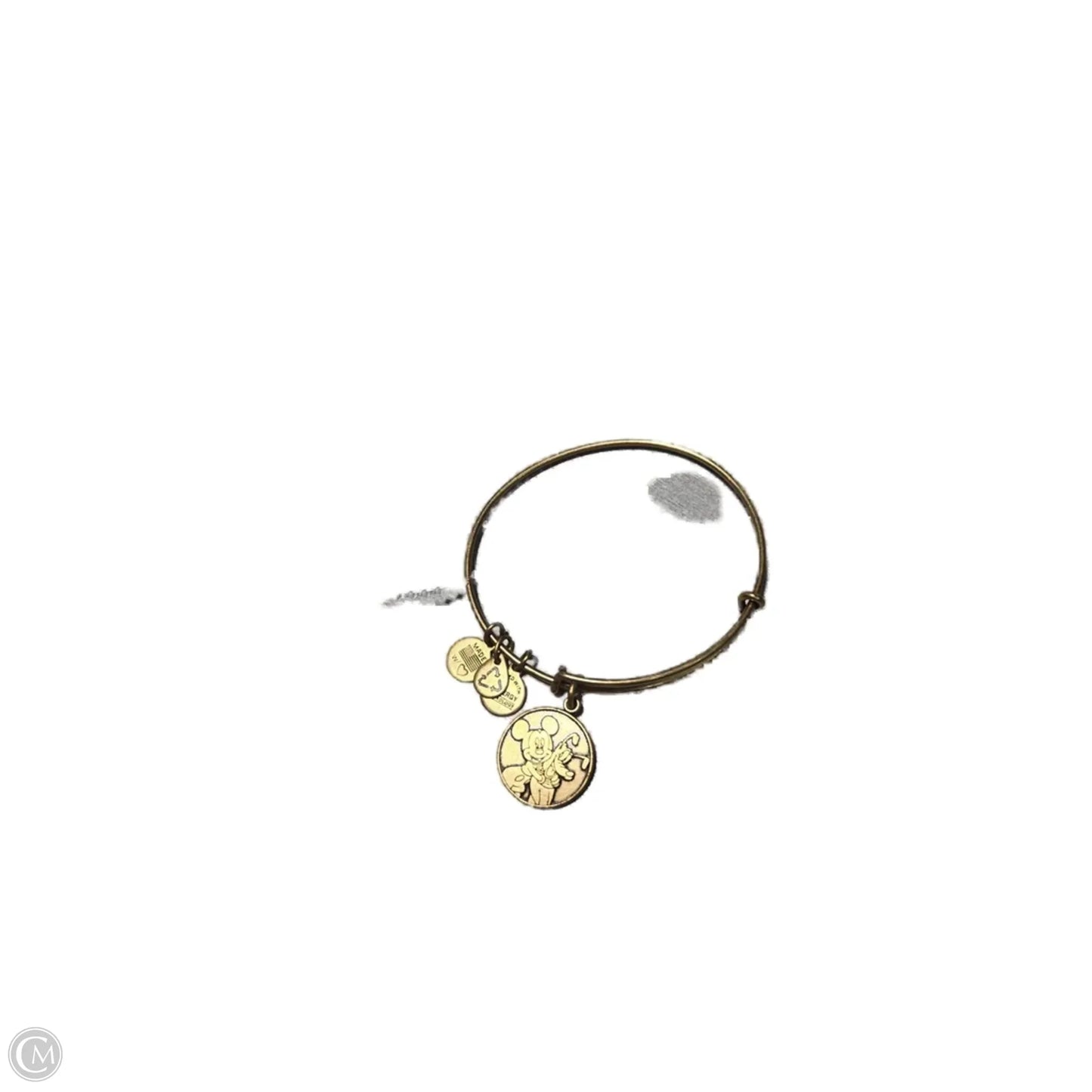 Bracelet Charm By Alex And Ani