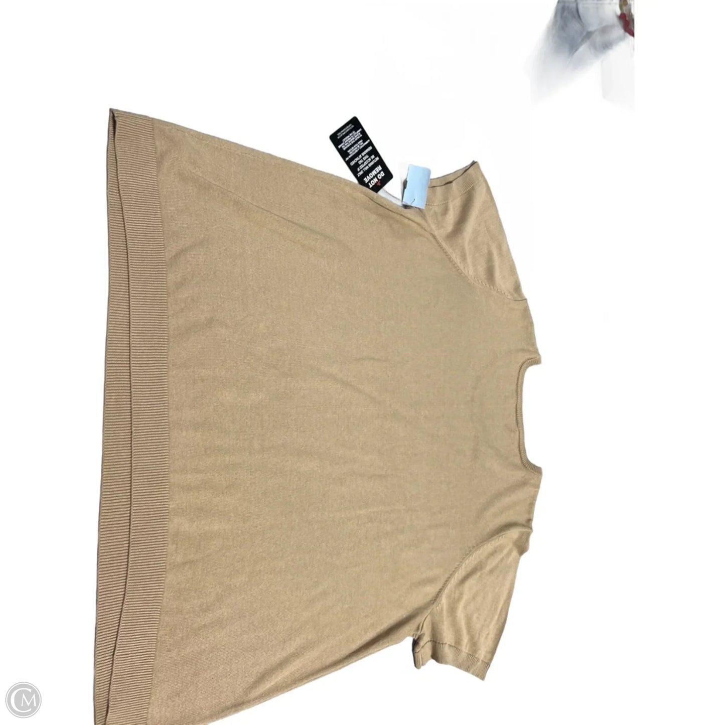 Top Short Sleeve By Jessica London In Tan, Size: 2x
