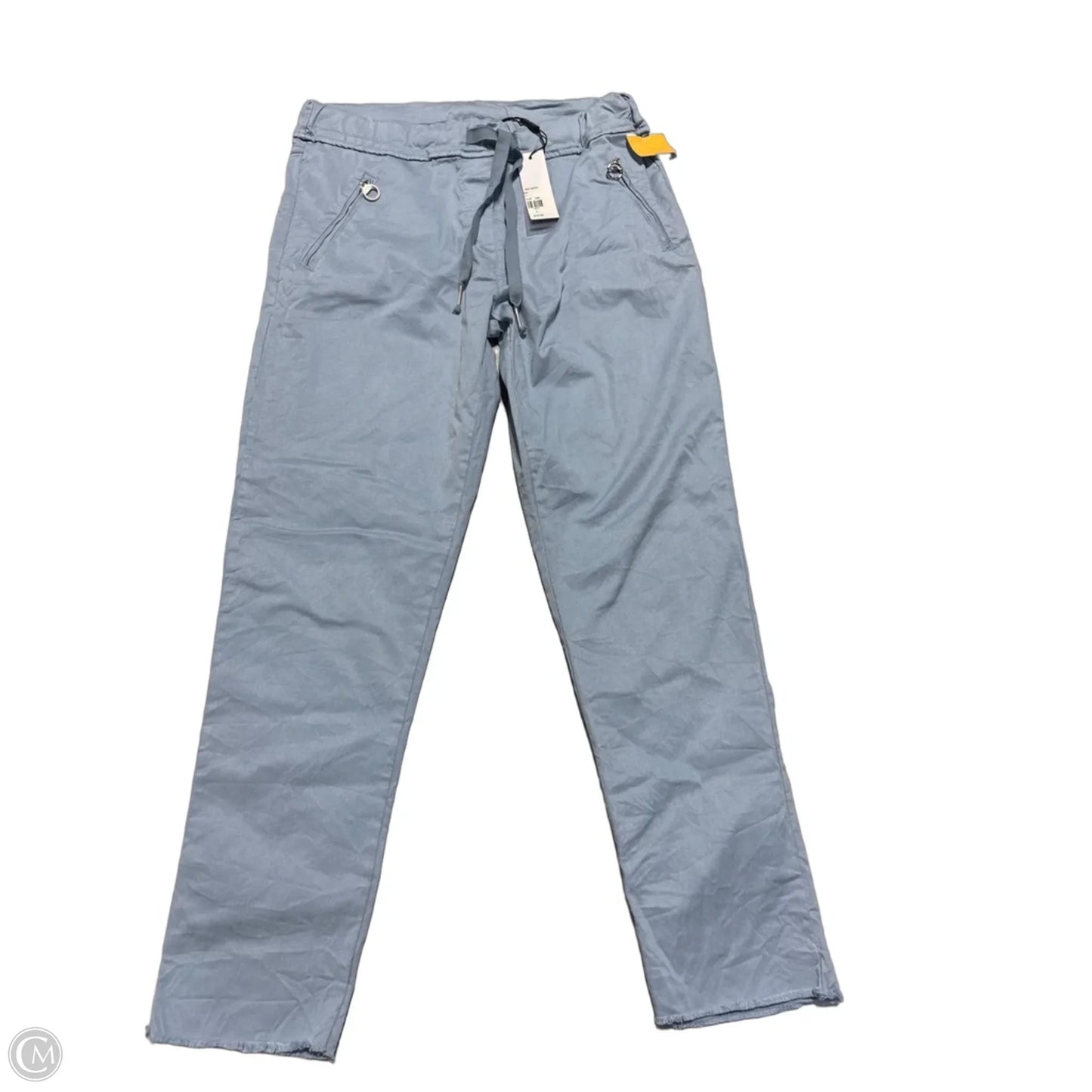 Pants Cargo & Utility By Cmc In Blue, Size: L
