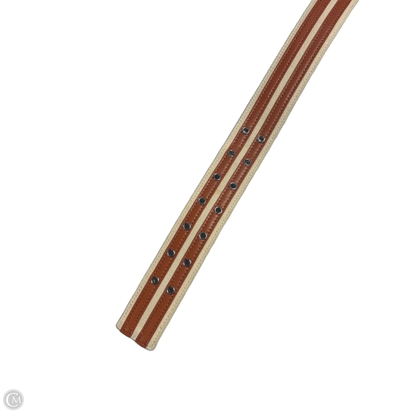 Belt By Cabi, Size: Medium
