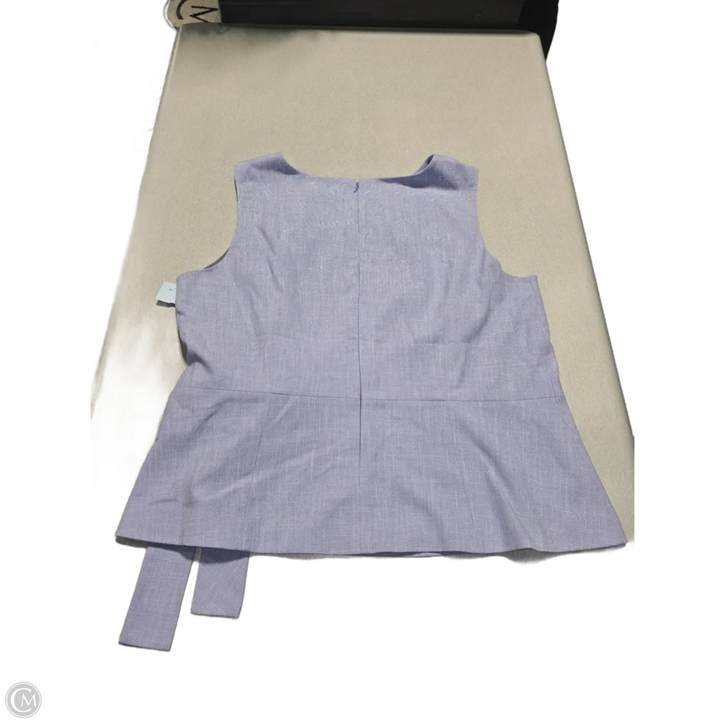 Top Sleeveless By Ann Taylor In Purple, Size: 18