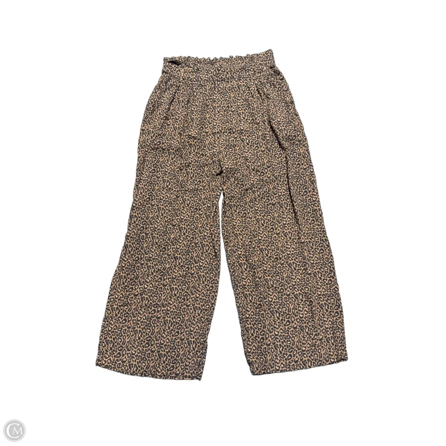 Pants Other By American Eagle In Animal Print, Size: M