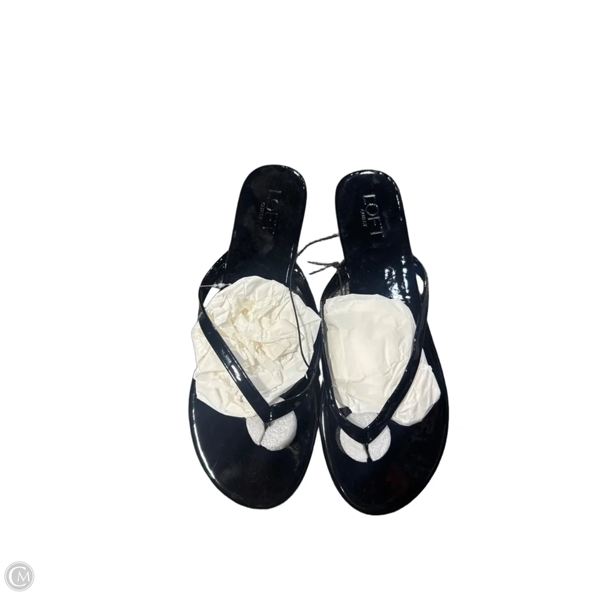Sandals Flip Flops By Loft In Black, Size: 10