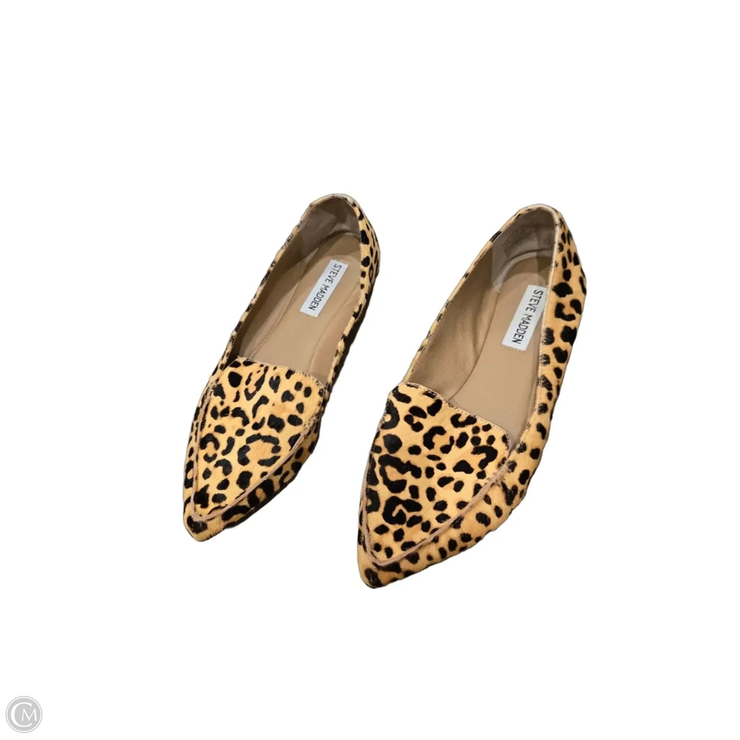 Shoes Flats By Steve Madden In Animal Print, Size: 7