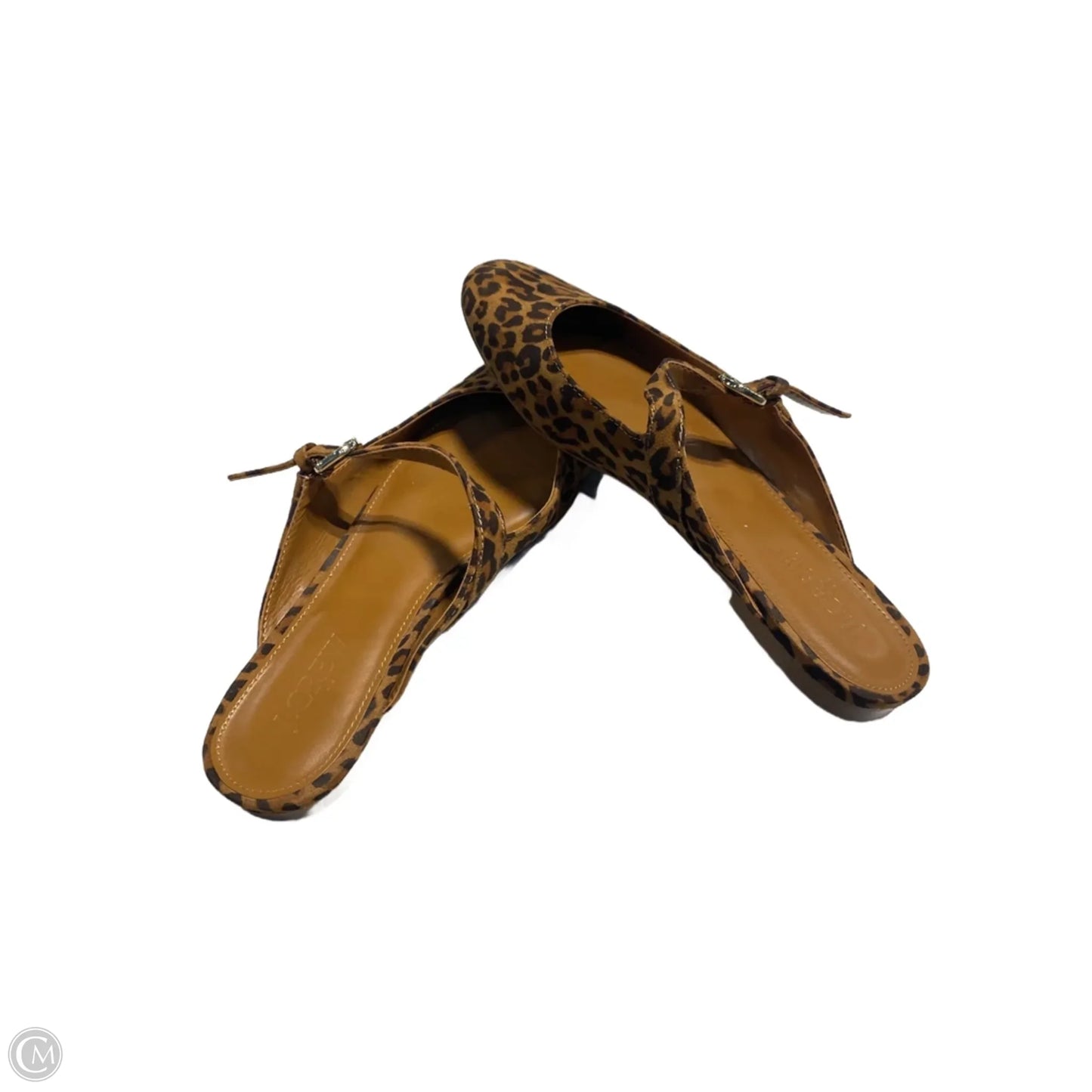 Shoes Flats By J. Crew In Leopard Print, Size: 6