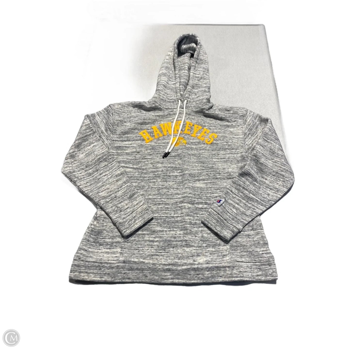 Sweatshirt Hoodie By Champion In Grey, Size: M