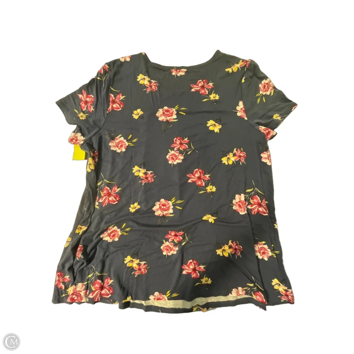 Top Short Sleeve By Torrid In Blue, Size: 2x