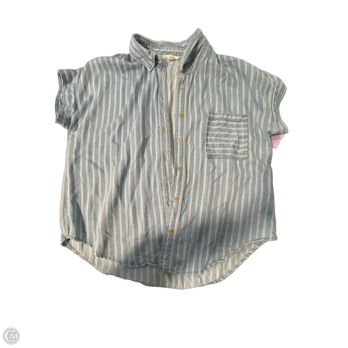 Top Short Sleeve By Blu Pepper In Blue & White, Size: L