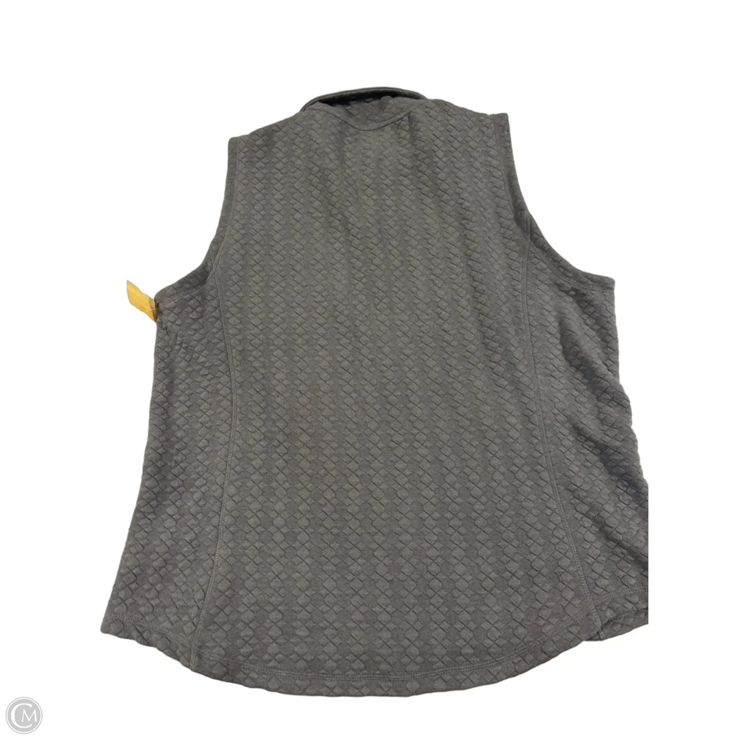 Skirt Set 2pc By Cmc In Grey, Size: Xl