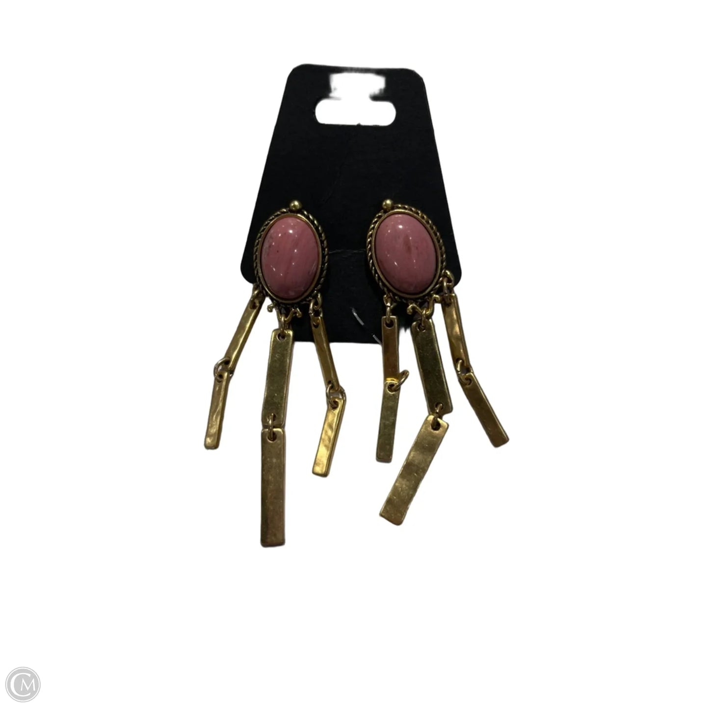Earrings Dangle/drop By Chicos