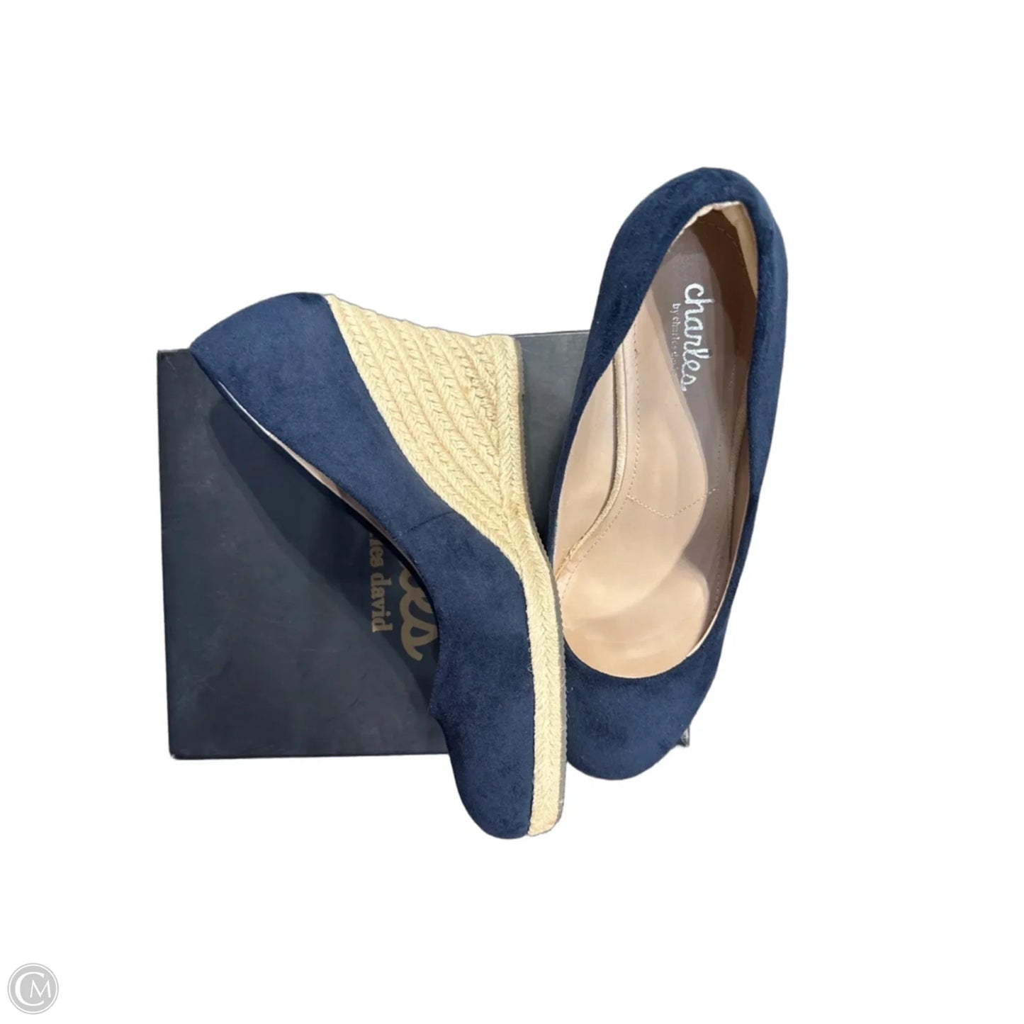 Shoes Heels Block By Charles By Charles David In Navy, Size: 9